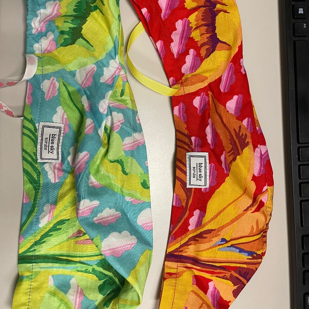 Blue Sky Scrub caps x2. NEW